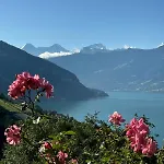 Unverbaute See- Und Bergsicht 2 Balkone * Aeschlen