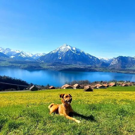 Mit Fantastischer Aussicht Apartmán *