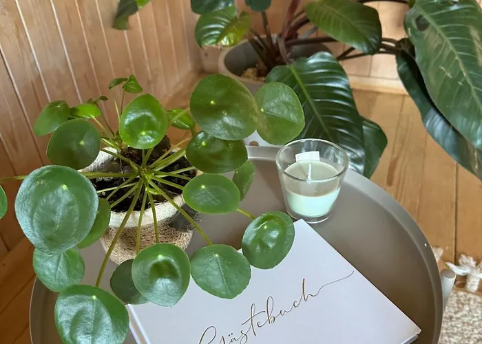 Unverbaute See- Und Bergsicht 2 Balkone Lejlighed Aeschlen