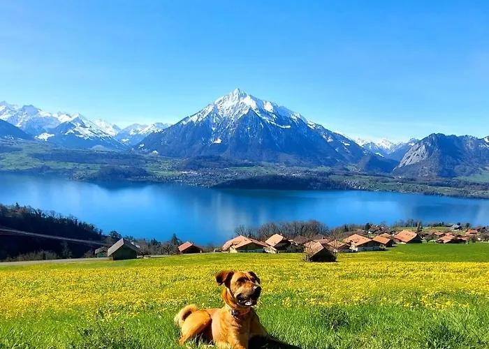 Unverbaute See- Und Bergsicht 2 Balkone Lejlighed *