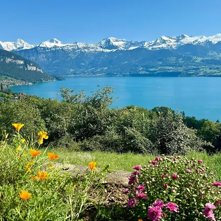 Appartement Mit Fantastischer Aussicht Aeschlen